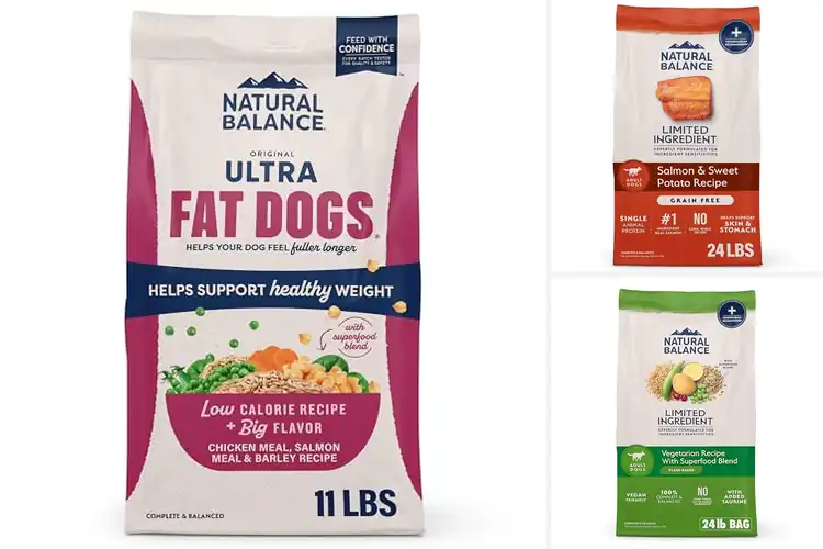 Detailed view of Best Balanced Food Options: Top Picks for Healthy Pets