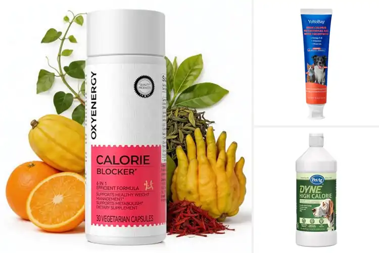Detailed view of Best Calorie Supplement Options