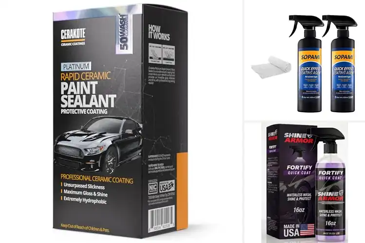 Detailed view of Best Car Paint Protection Sprays