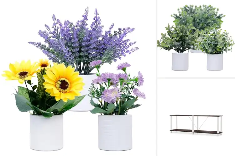 Detailed view of Best Low Maintenance Shelf: 10 Effortless, Stylish Solutions