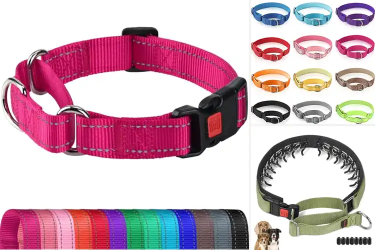 Detailed view of Best Martingale Collars