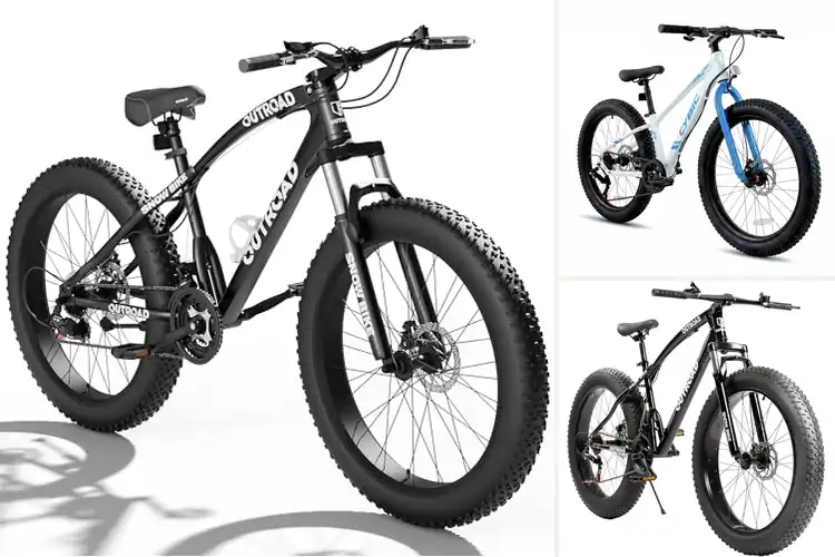 Detailed view of Best Mountain Bike Fat Tires