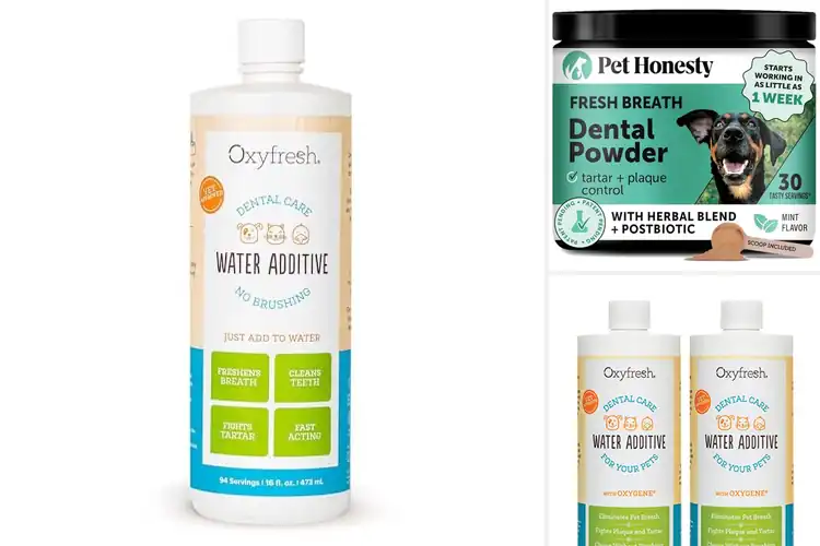 Detailed view of Best Natural Pet Dental Solutions: Vet-Approved Fresh Breath