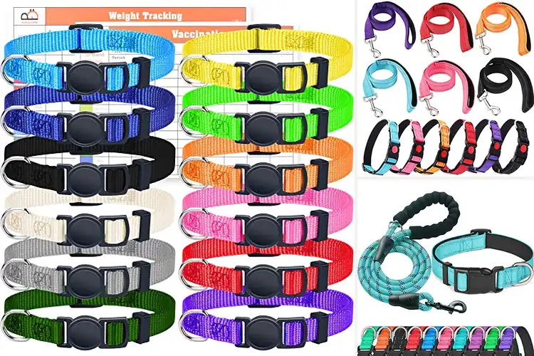 Detailed view of Best Nylon Collar Sets