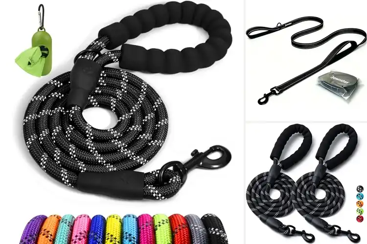 Detailed view of Best Padded Leashes
