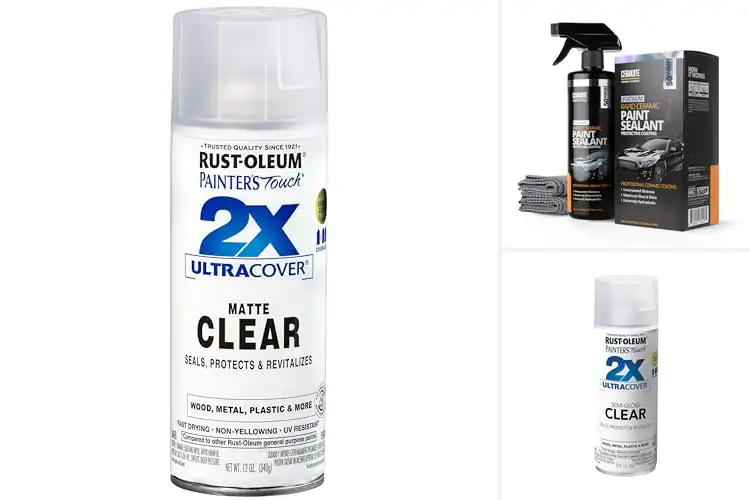 Detailed view of Best Paint Protection Spray