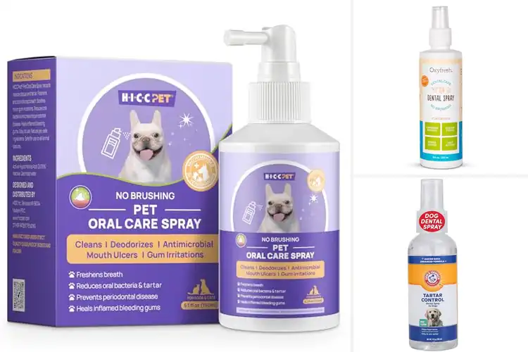 Detailed view of Best Plaque-Fighting Pet Sprays