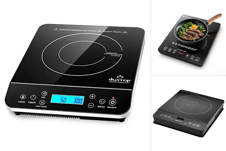 Detailed view of Best Portable Induction Cooktops