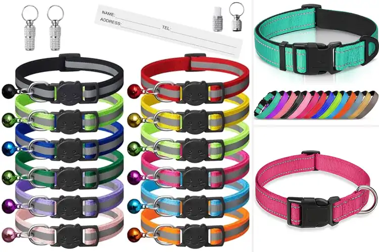 Detailed view of Best Reflective Collars