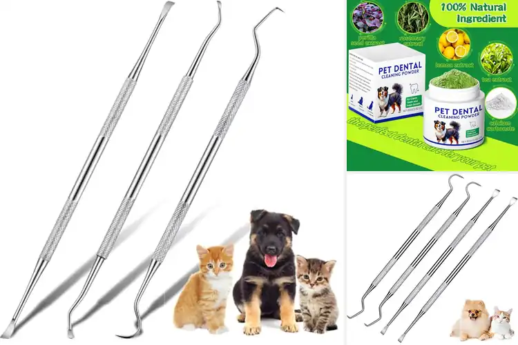 Detailed view of Best Tart Curbs For Dog Teeth